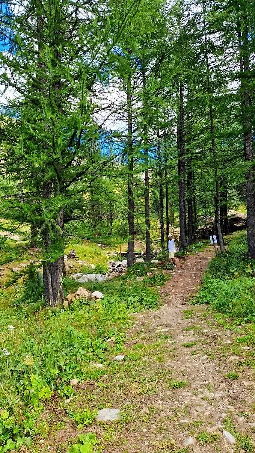 Studio Avec Vue Imprenable Sur La Montagne A Isola 25 M²