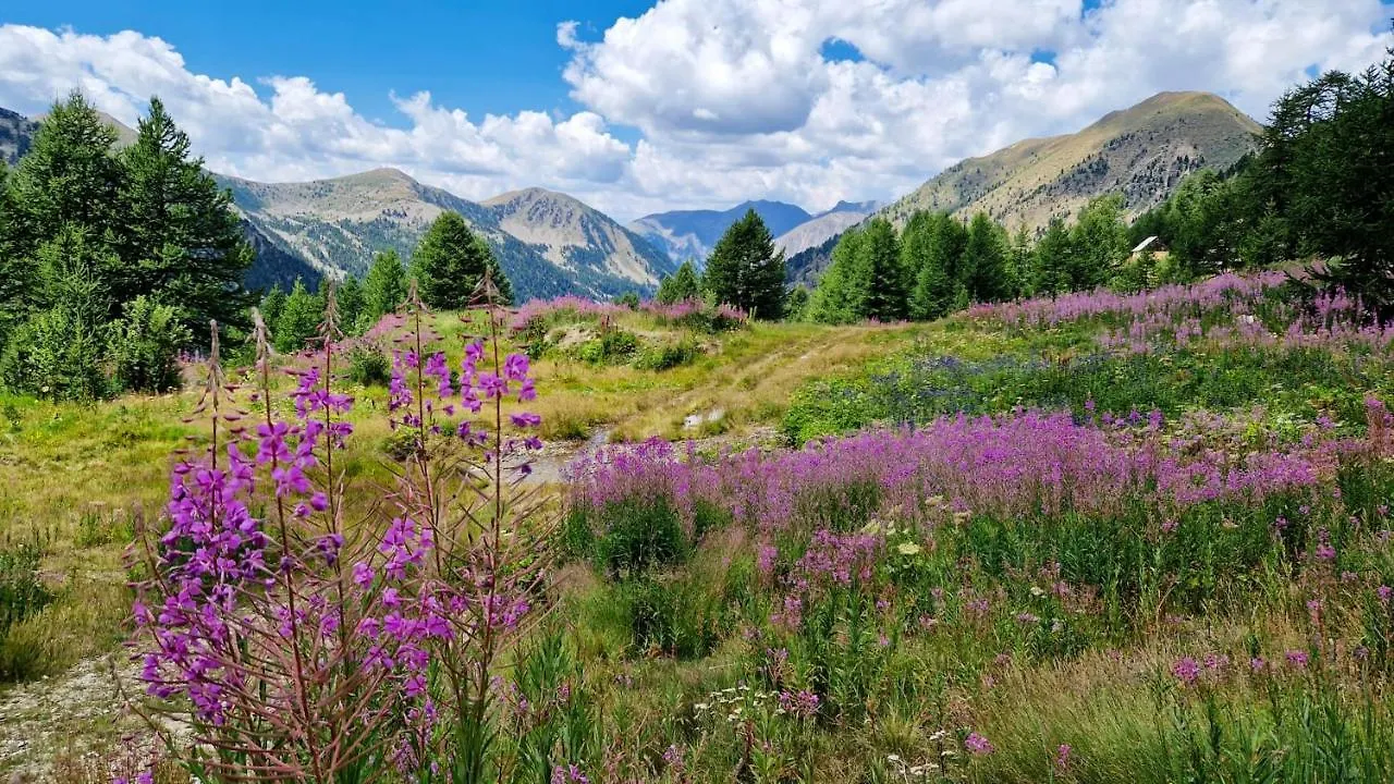 Studio Avec Vue Imprenable Sur La Montagne A Isola 25 M² 0*,